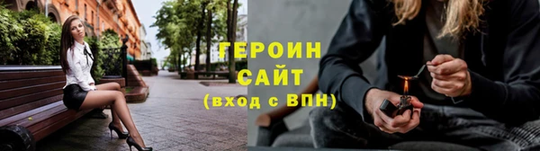 шишки Анива
