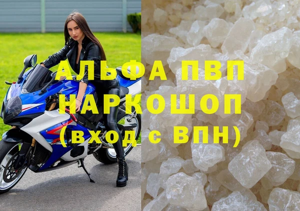ешки Новодвинск